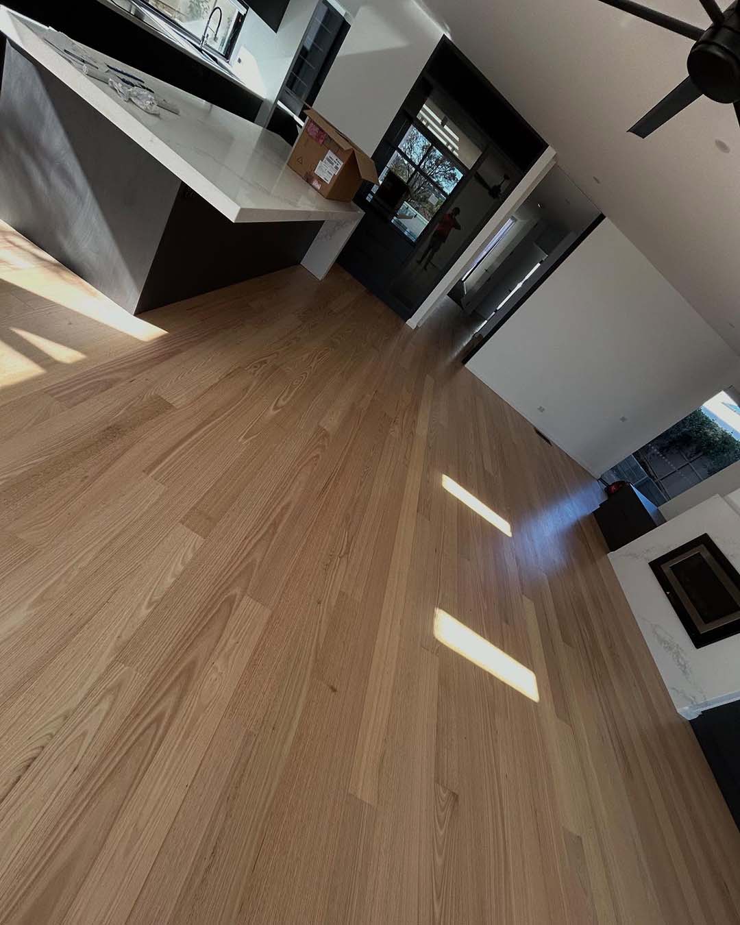 Light timber floor in a sunlit open-plan room beside a kitchen bench